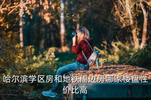 哈尔滨学区房和地铁周边房哪家楼盘性价比高