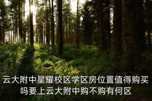 云大附中星耀校区学区房位置值得购买吗要上云大附中购不购有何区