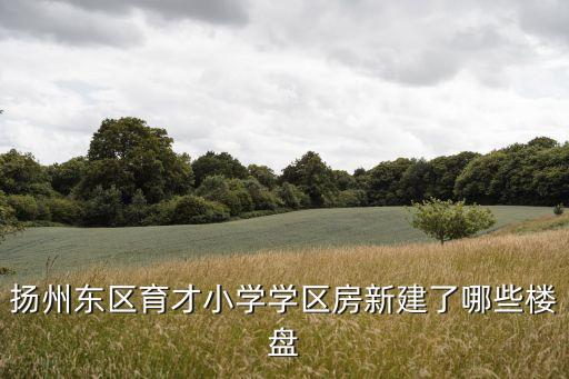 育才学区房有哪些，扬州东区育才小学学区房新建了哪些楼盘