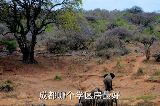 经五路学区房和泉景学区房哪个好，在济南买学区房好还是选个质量好地段好的楼盘好最好能推荐
