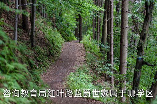 咨询教育局红叶路蓝爵世家属于哪学区