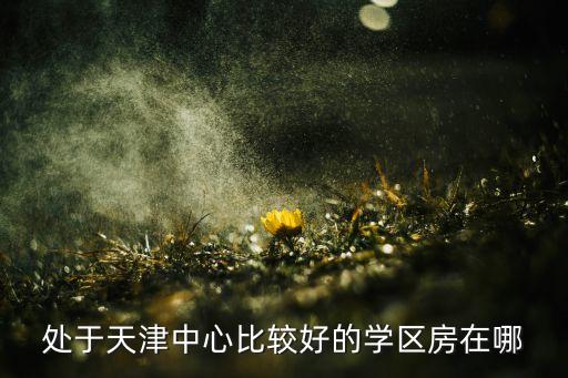处于天津中心比较好的学区房在哪