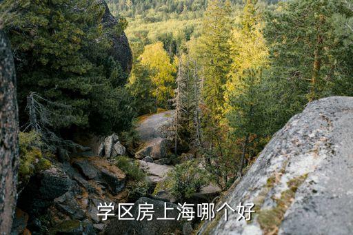 学区房上海哪个好