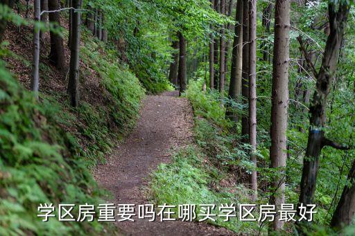 学区房重要吗在哪买学区房最好