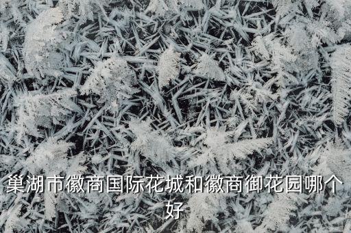 巢湖哪个学区房小区好，靠近巢湖柘皋中学的小区