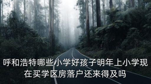 呼和浩特哪些小学好孩子明年上小学现在买学区房落户还来得及吗