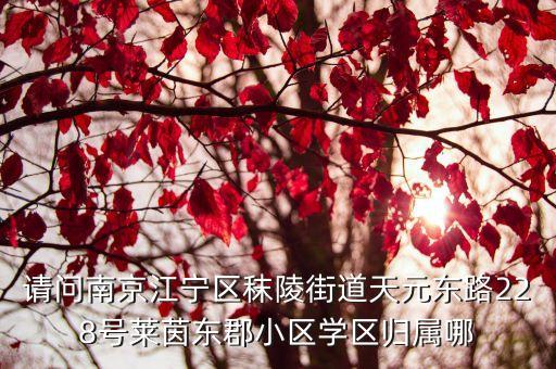 请问南京江宁区秣陵街道天元东路228号莱茵东郡小区学区归属哪