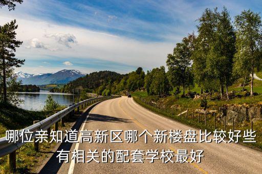 哪位亲知道高新区哪个新楼盘比较好些有相关的配套学校最好