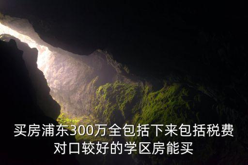 买房浦东300万全包括下来包括税费对口较好的学区房能买