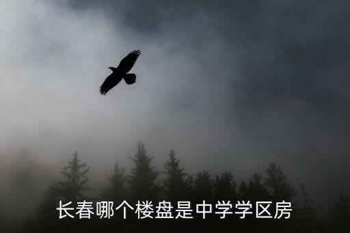 长春哪个楼盘是中学学区房