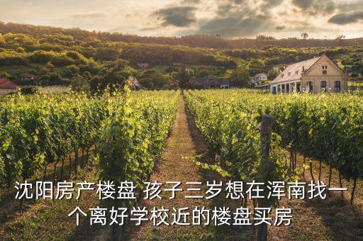 沈阳房产楼盘 孩子三岁想在浑南找一个离好学校近的楼盘买房