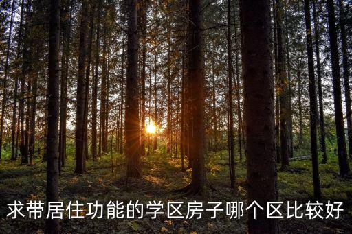 求带居住功能的学区房子哪个区比较好