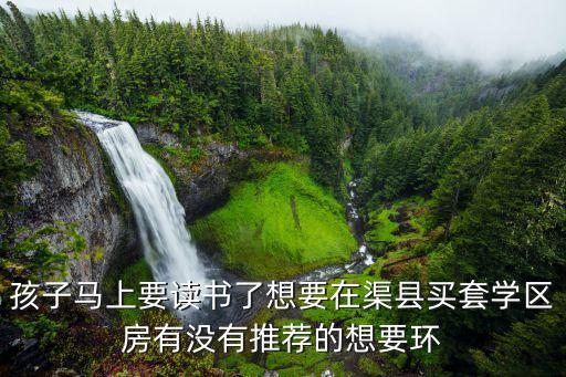 孩子马上要读书了想要在渠县买套学区房有没有推荐的想要环