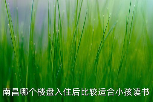 南昌哪个楼盘入住后比较适合小孩读书