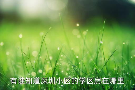 利辛温馨花园是哪个学区房，有谁知道深圳小区的学区房在哪里