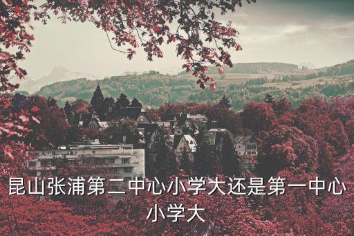 昆山张浦第二中心小学大还是第一中心小学大
