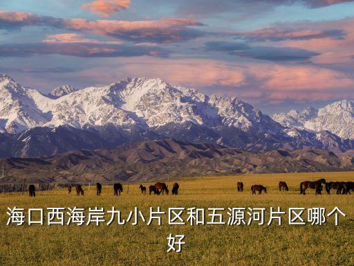 海口西海岸九小片区和五源河片区哪个好