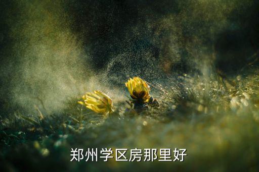 郑州学区房那里好