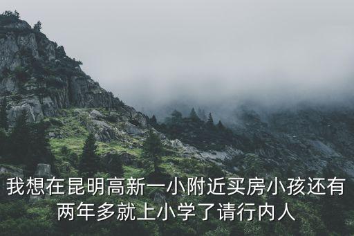 我想在昆明高新一小附近买房小孩还有两年多就上小学了请行内人