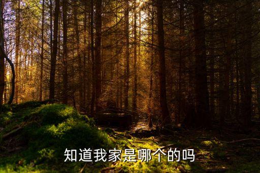 知道我家是哪个的吗