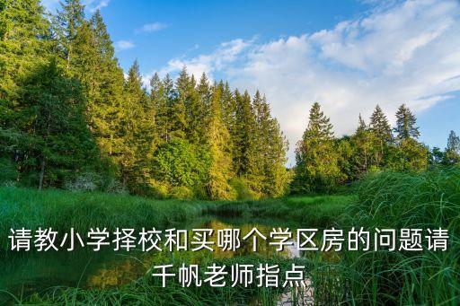 请教小学择校和买哪个学区房的问题请千帆老师指点