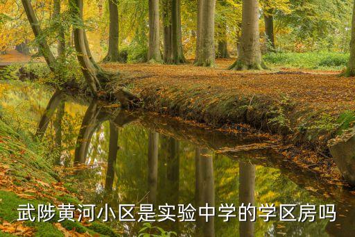 武陟哪个学区房好卖点呢，咱武陟哪个楼盘比较不错