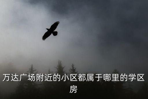 万达广场附近的小区都属于哪里的学区房