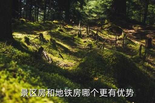景区房和地铁房哪个更有优势