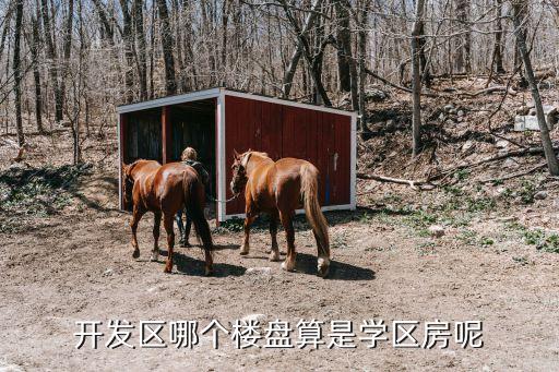 广开区哪个学区房好点，开发区哪个楼盘算是学区房呢