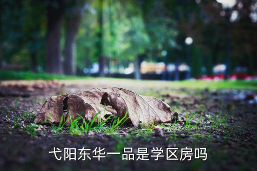 弋阳东华一品是学区房吗