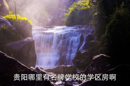 贵阳哪里有名牌学校的学区房啊