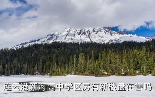连云港新海高中学区房有新楼盘在售吗