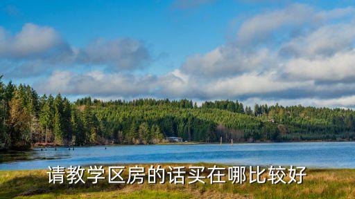 请教学区房的话买在哪比较好