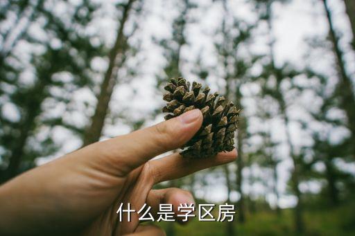 濉溪悦榕府是哪个学区房，求教学区房是怎么划分的