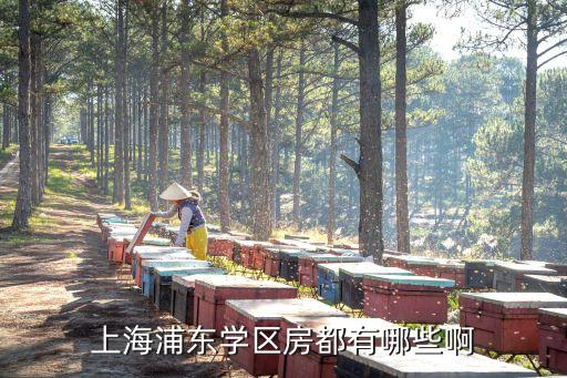 上海浦东学区房都有哪些啊