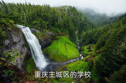 重庆主城有哪些学区房，重庆主城六区是指哪六个啊
