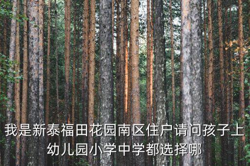 我是新泰福田花园南区住户请问孩子上幼儿园小学中学都选择哪