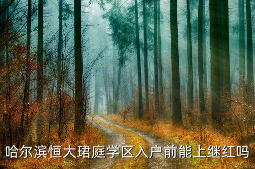 哈尔滨恒大珺庭学区入户前能上继红吗