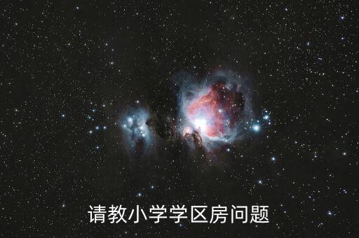 请教小学学区房问题