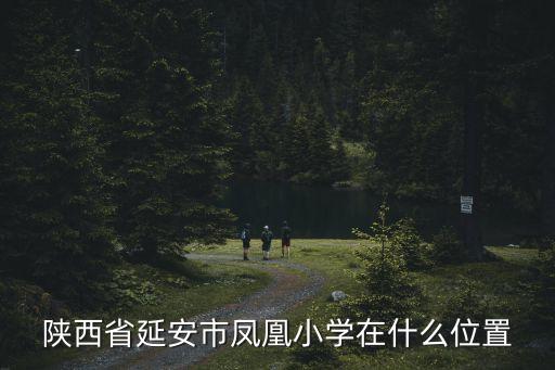 延安的学区房在哪个位置，延安师范附属小学在什么地方拜托各位了 3Q