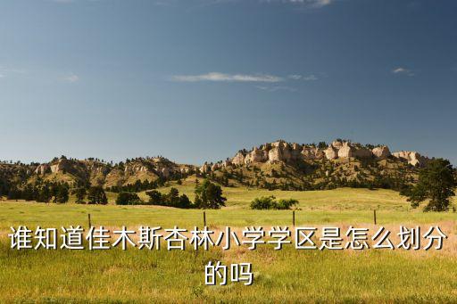 谁知道佳木斯杏林小学学区是怎么划分的吗