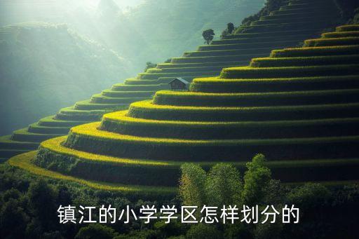 镇江二道巷房属哪个学区，镇江市2011年润州区实验小学学区划分
