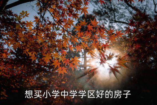 想买小学中学学区好的房子
