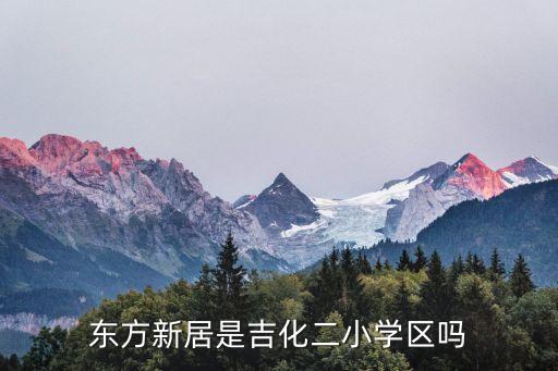 东方新居是吉化二小学区吗