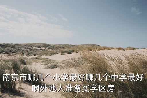 南京市哪几个小学最好哪几个中学最好啊外地人准备买学区房