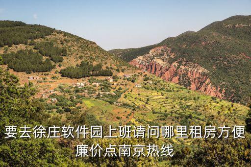徐庄哪个学区房好租点的，要去徐庄软件园上班请问哪里租房方便廉价点南京热线
