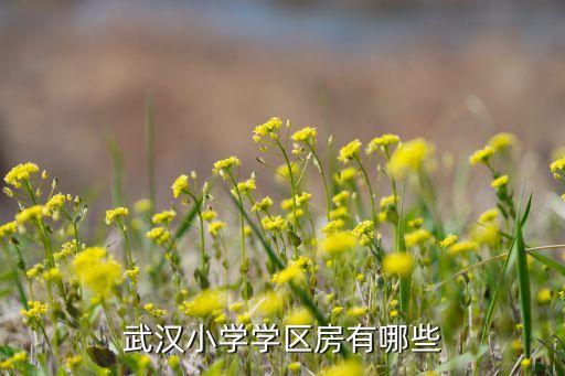 武汉小学学区房有哪些