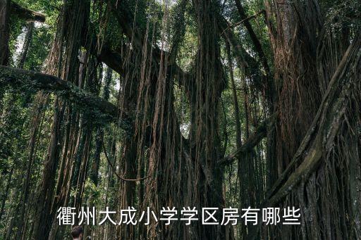 衢州学区房是哪个好，衢州哪个学区房好
