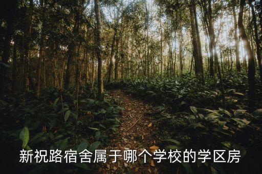 新祝路宿舍属于哪个学校的学区房