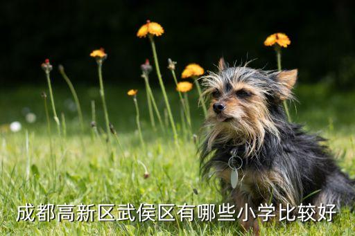 成都高新区武侯区有哪些小学比较好